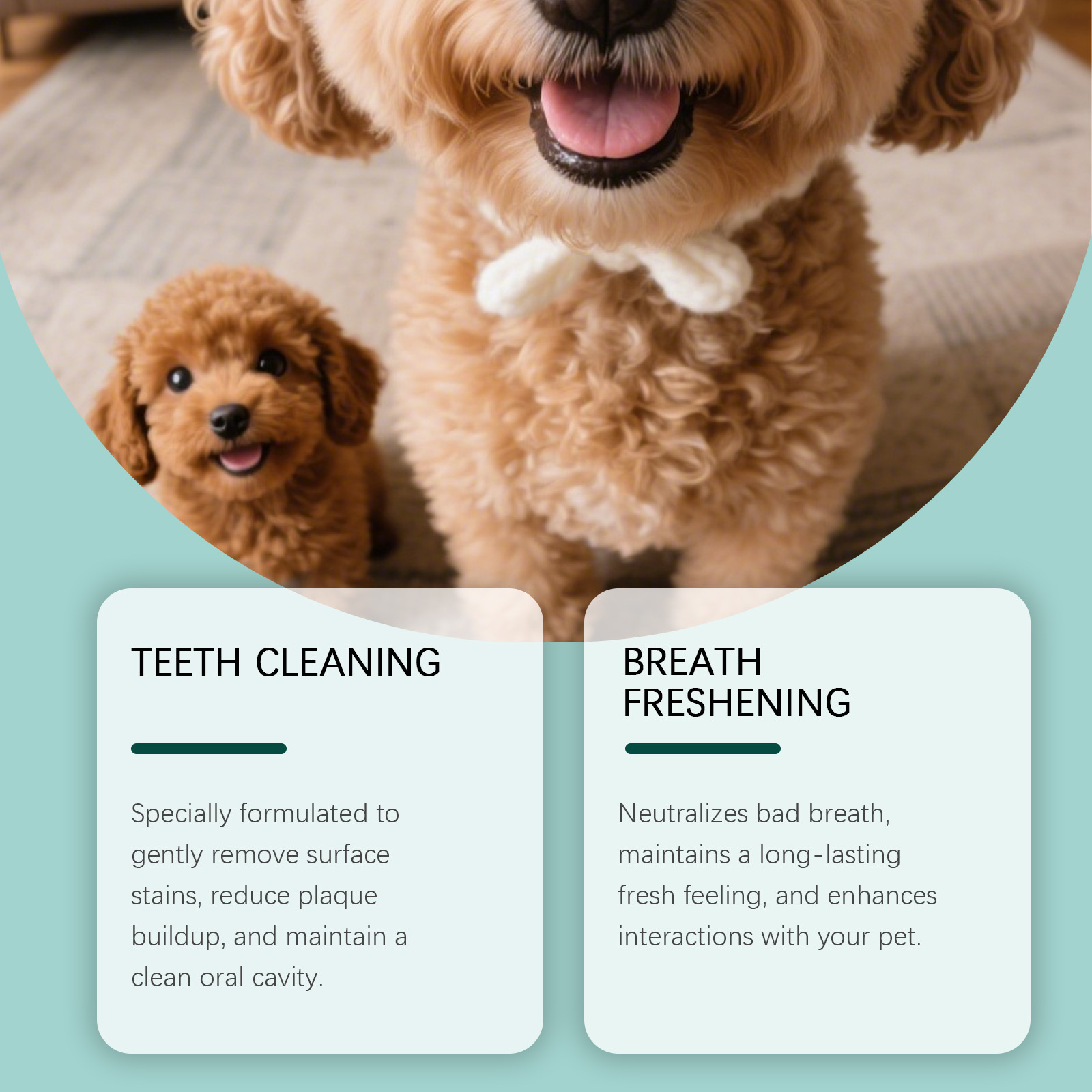 ผงทำความสะอาดฟันสุนัข ขจัดคราบ - Teeth Whitening Powder บทวิจารณ์และราคา